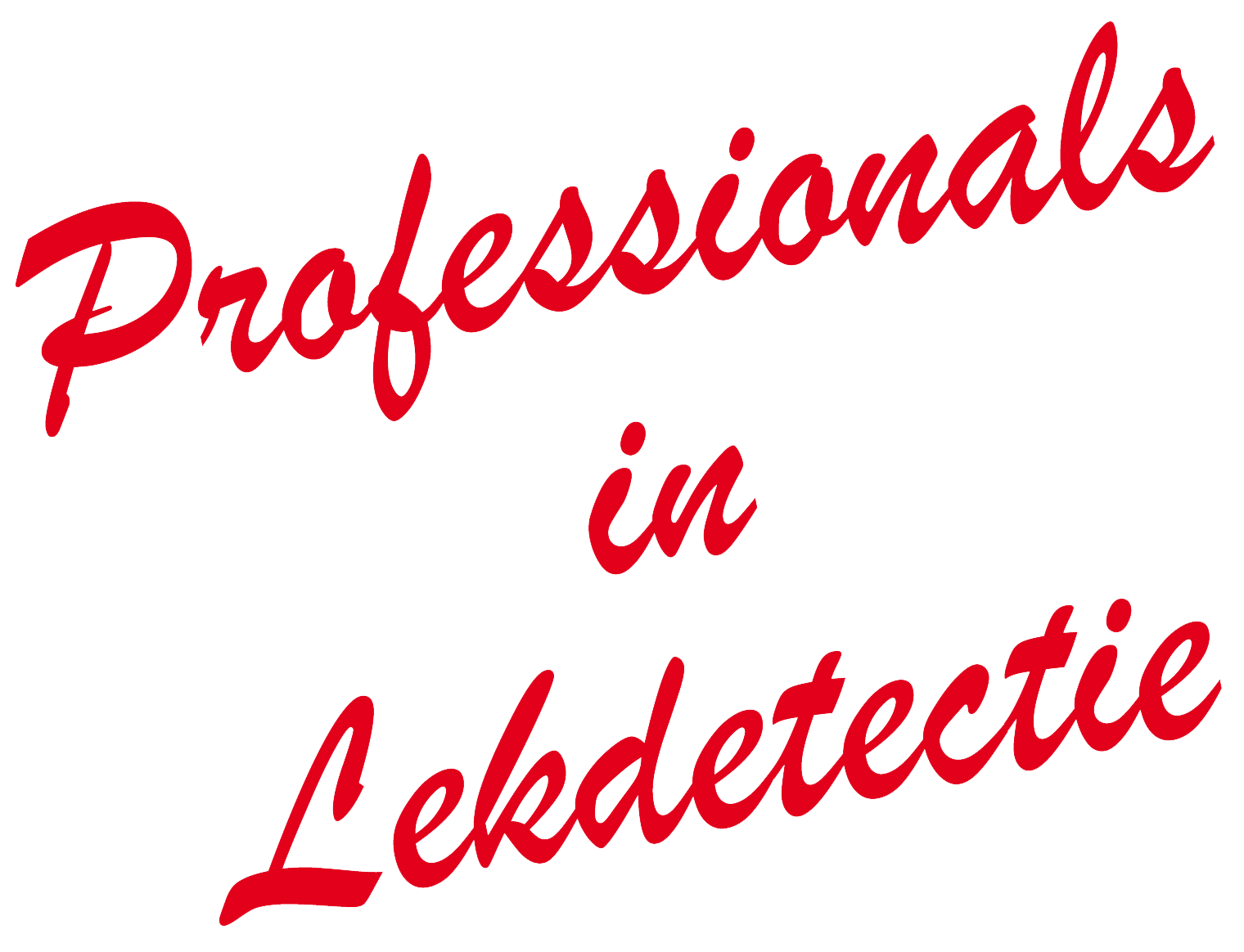 Vochttechniek Professionals in Lekdetectie